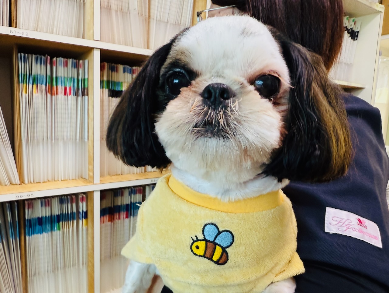 ペットイメージ画像3