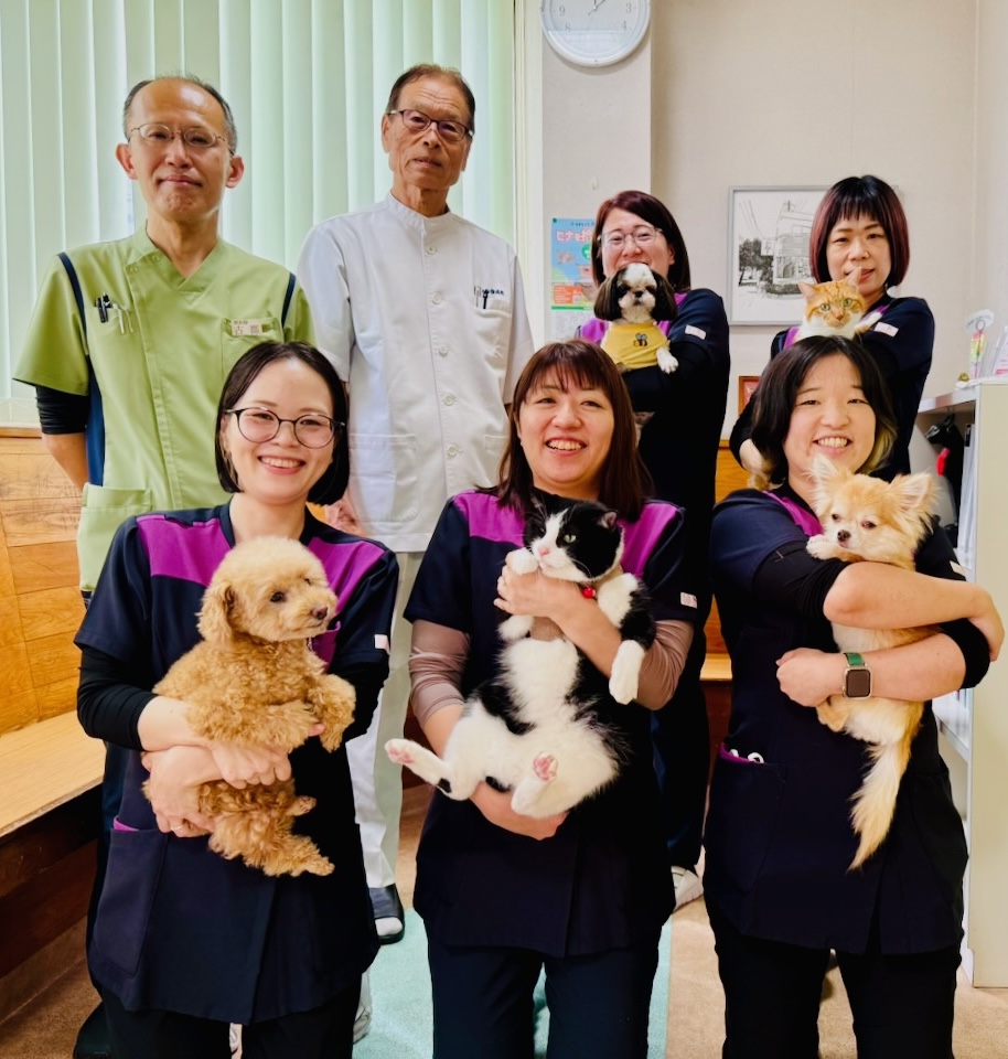 スタッフイメージ画像